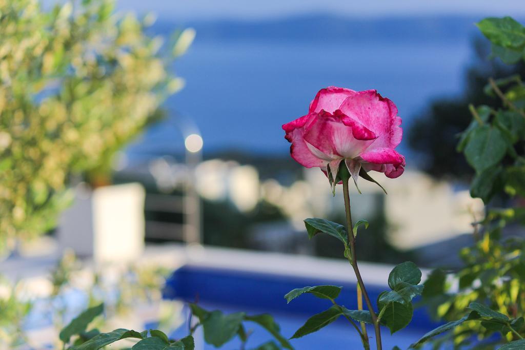 Villa Levanda Makarska Exterior foto